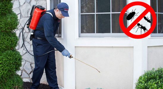 Dursunbey Akrep İlaçlama böcek ilaçlama ve haşere kontrolü — ilaclama-tr.com